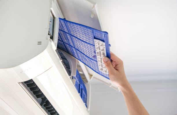 Best Air Duct Inspection  in La Crosse, WI