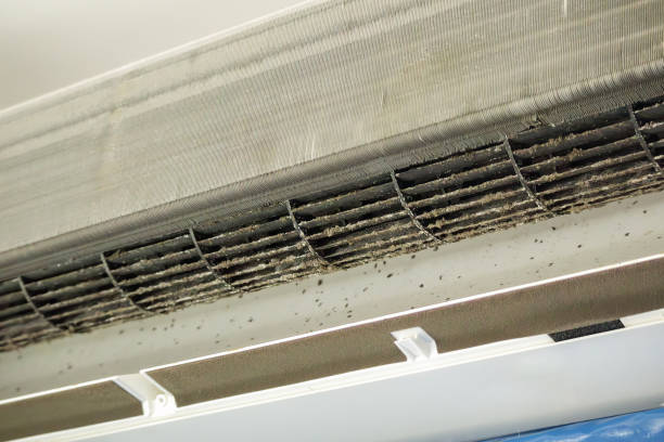Best Residential Air Duct Cleaning  in La Crosse, WI